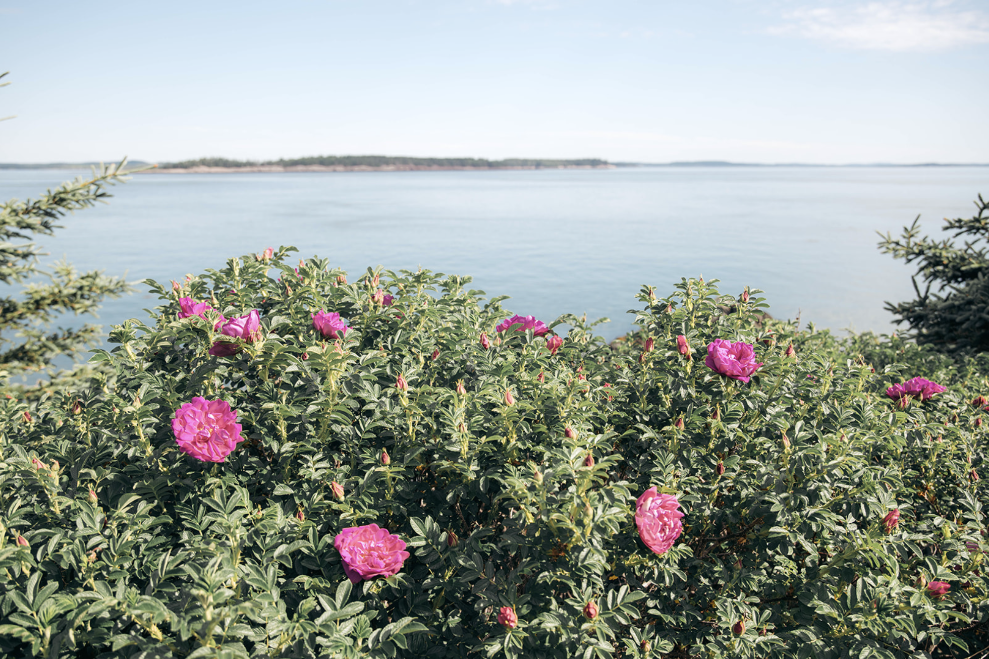 Screenshot 2025-09-25 at 12.38.48 AM